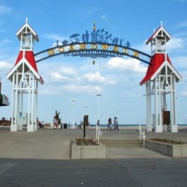 Public Services Category Image