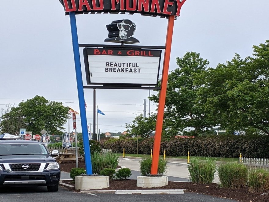 Bad Monkey West OC