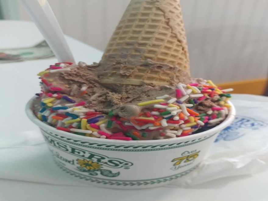 Dumser's Dairyland