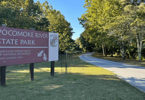 Exploring Nature at Pocomoke River State Park: A Perfect Day Trip from Ocean City, MD